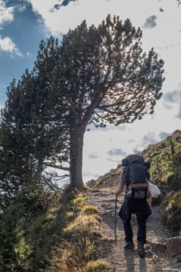 60L Trekking Backpack
