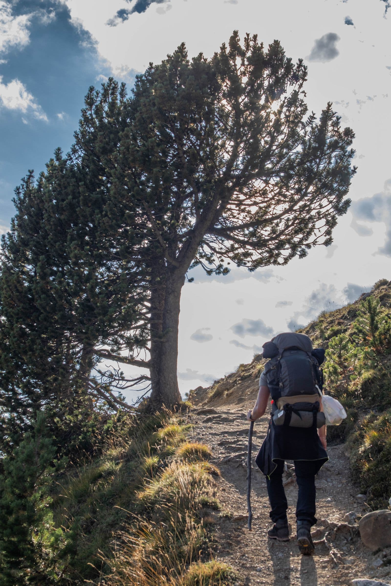 60L Trekking Backpack